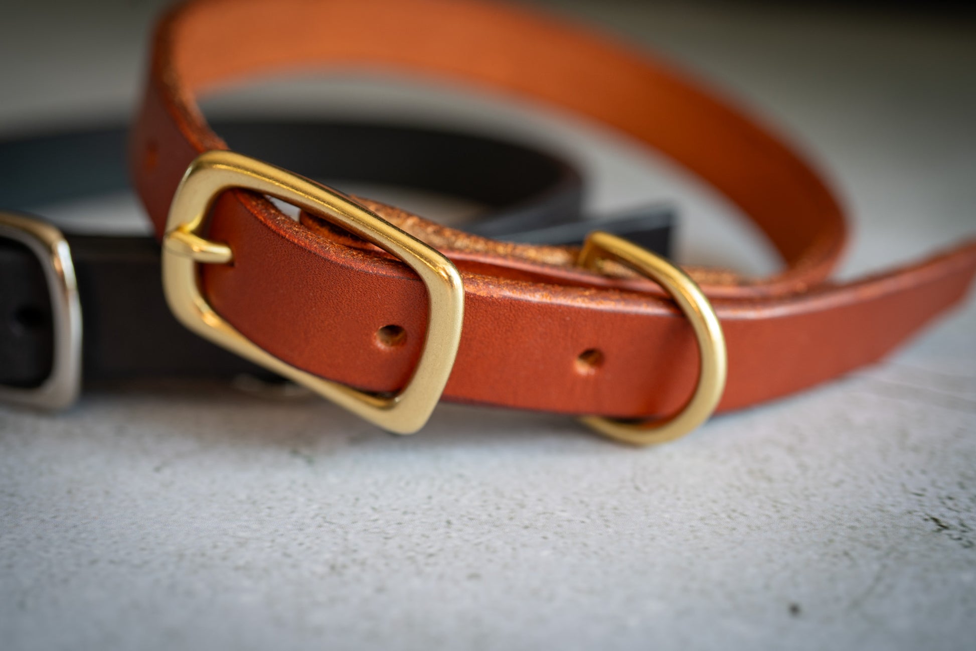 Close-up view of the natural brass buckle of the brown leather dog collar 3/4 inch. | Vue rapprochée de la boucle en laiton du collier pour chien en cuir brun 3/4 pouce.