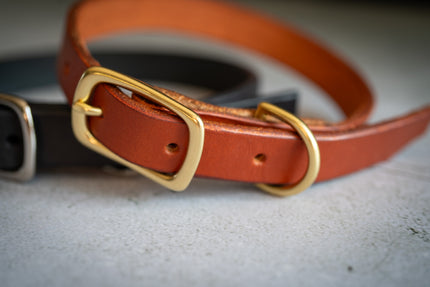 Close-up view of the natural brass buckle of the brown leather dog collar 3/4 inch.