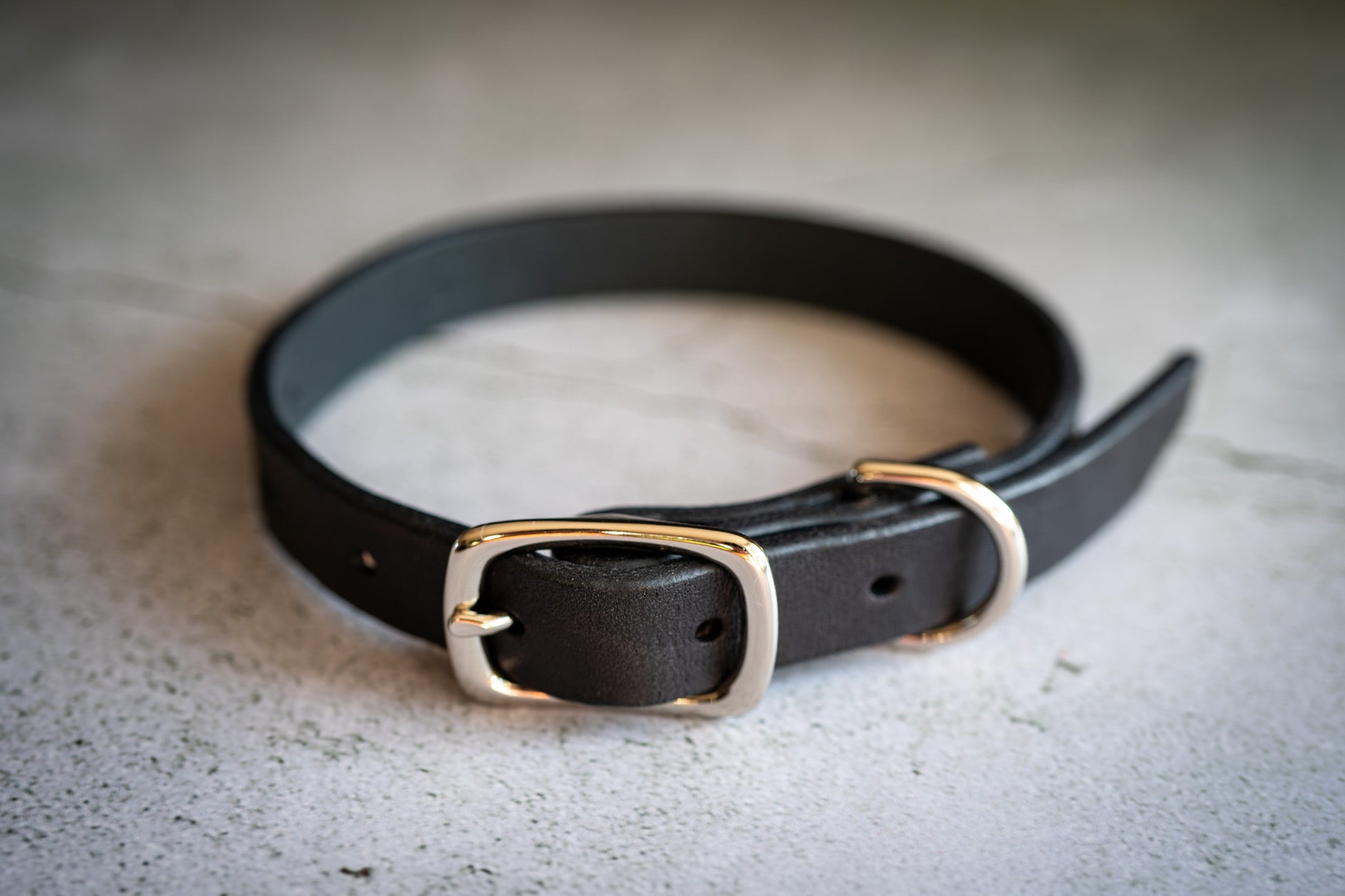View of the black premium leather dog collar 3/4 inch with nickel brass. | Vue du collier pour chien en cuir noir de première qualité 3/4 pouce avec laiton nickelé.
