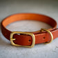 View of the brown premium leather dog collar 3/4 inch with brass buckle.