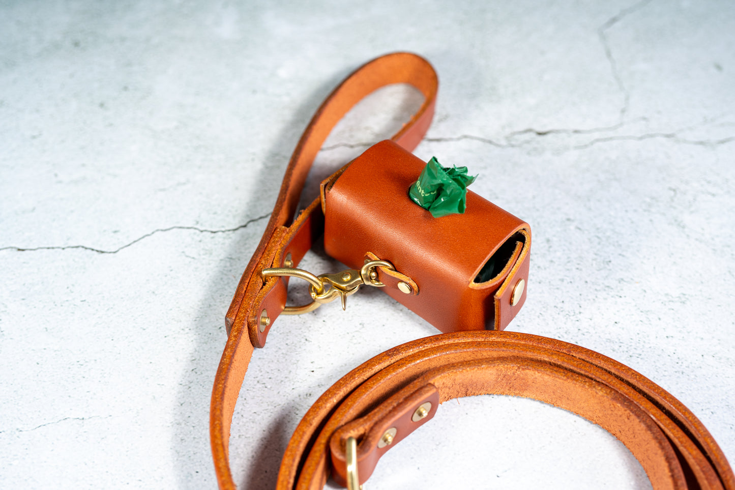 Viewed from the back of the dog poop bag holder attached to the chestnut leather leash.