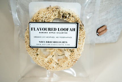 Luffa à la banane, pomme et coriandre, jouet bio pour petits animaux et oiseaux.