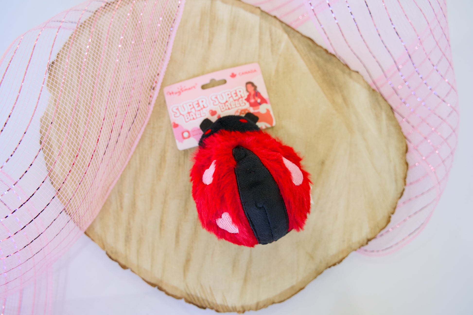 Red and black ladybug dog toy with a pink tag on a textured surface.