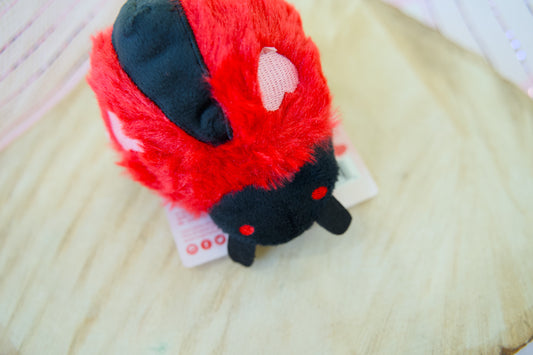 Red and black ladybug plush toy for dogs on a wooden surface.|Peluche en forme de coccinelle rouge et noire pour chiens, posée sur une surface en bois.