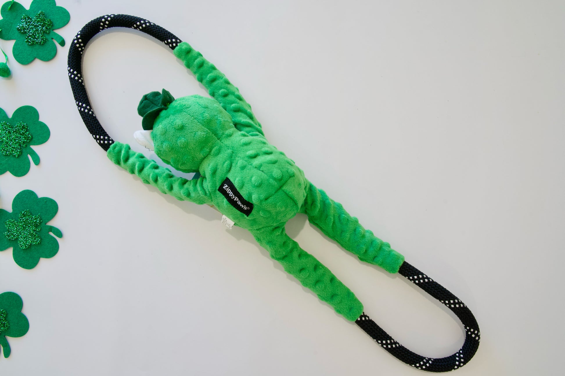 Vue de dos d'un ours en peluche vert porte-bonheur et d'un jouet pour chien en corde sur fond blanc.