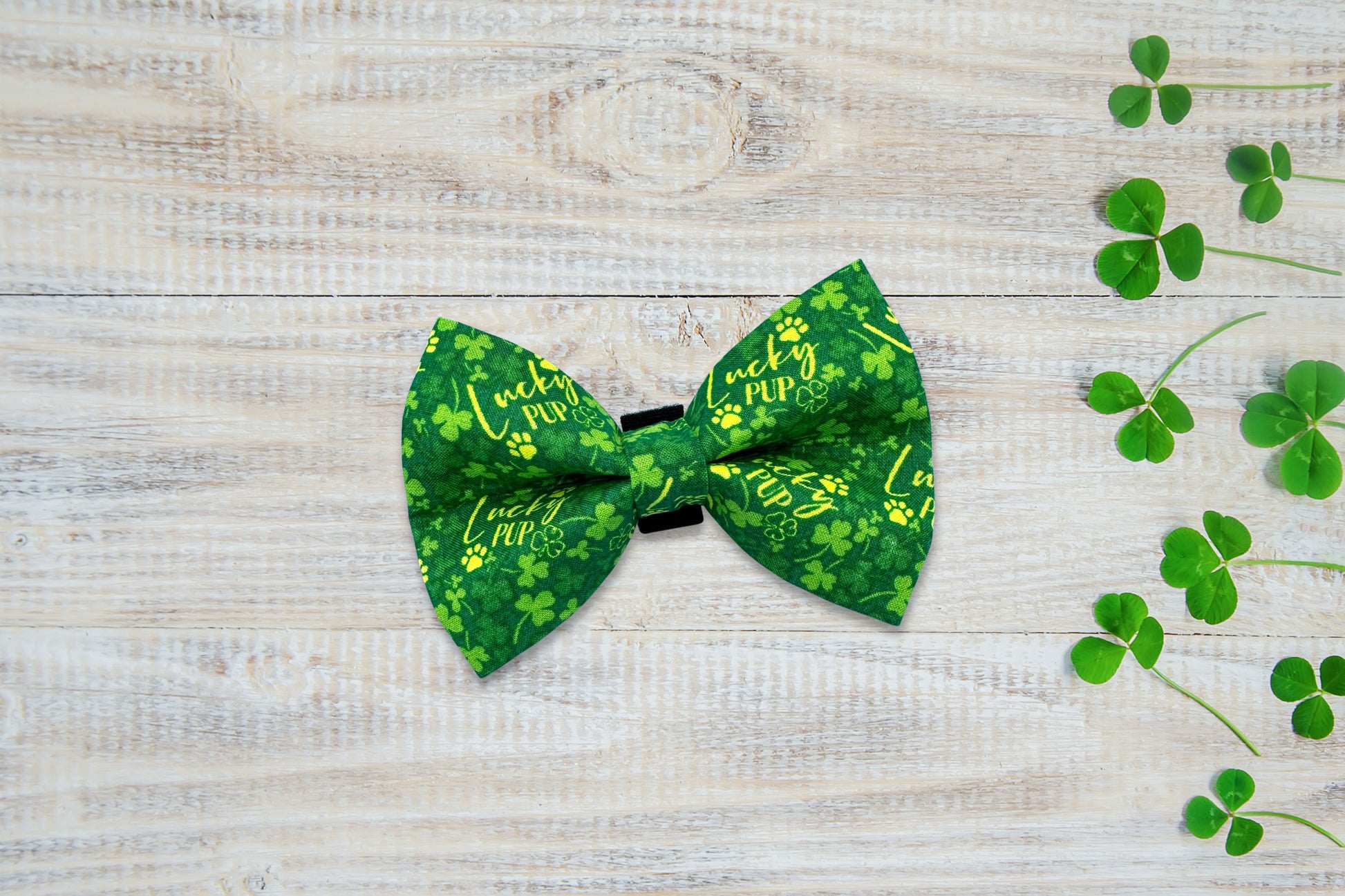 Green dog bow tie with shamrock pattern on a wooden surface with clover leaves.