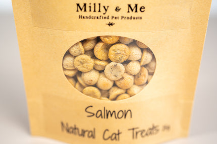 Close-up view of the salmon cat treats.