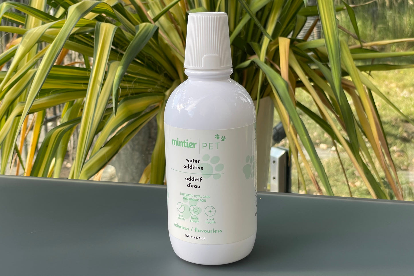 Mintier Pet brand water bottle with added natural ingredients that promote dental health.