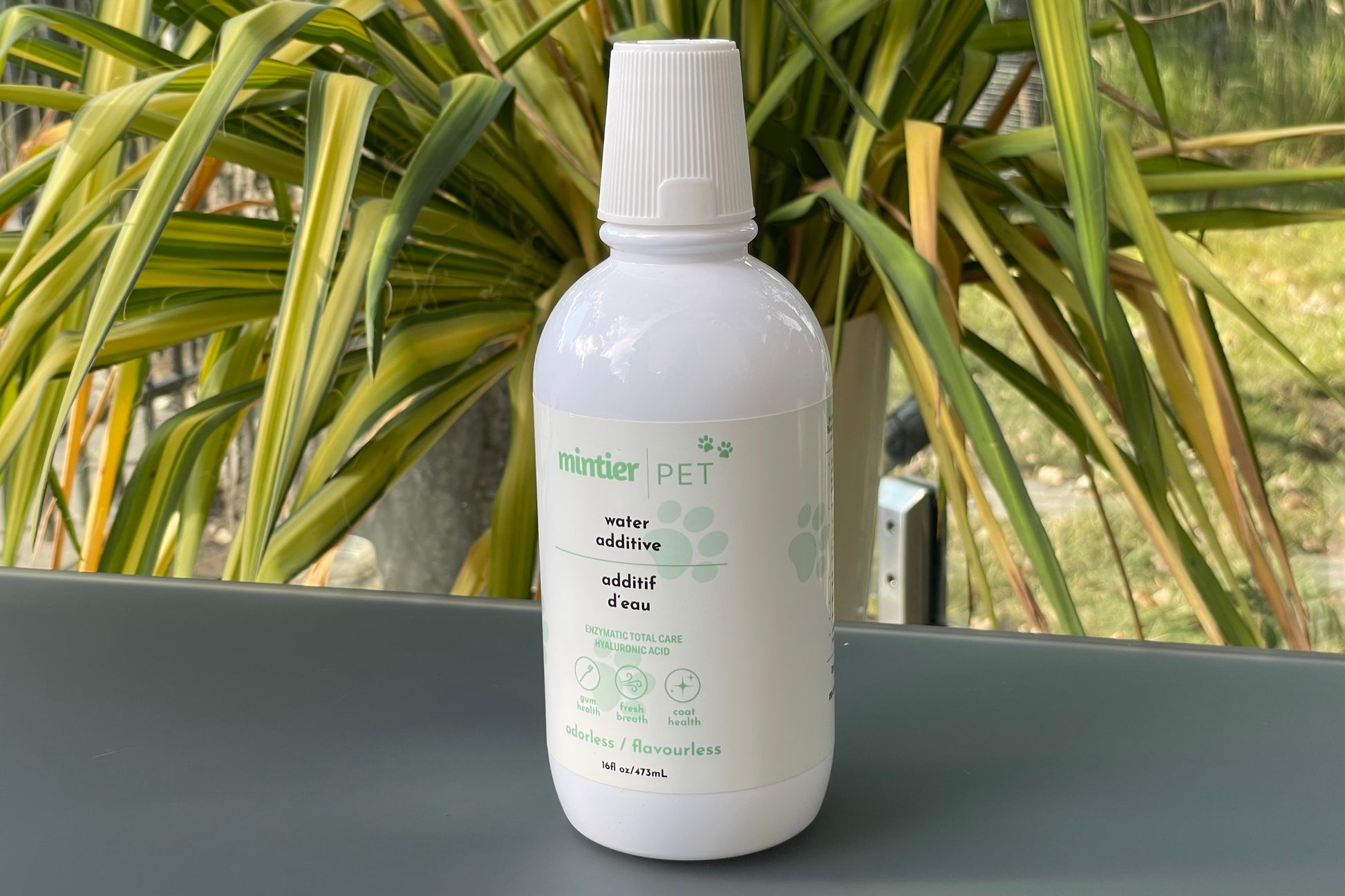 Mintier Pet brand water bottle with added natural ingredients that promote dental health.