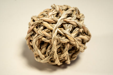 Close up view of aquatic plant balls for rabbit, hamster, rat, small pets.
