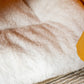 Vue rapprochée du coussin blanc de la tente orange super confortable et douce pour animaux.