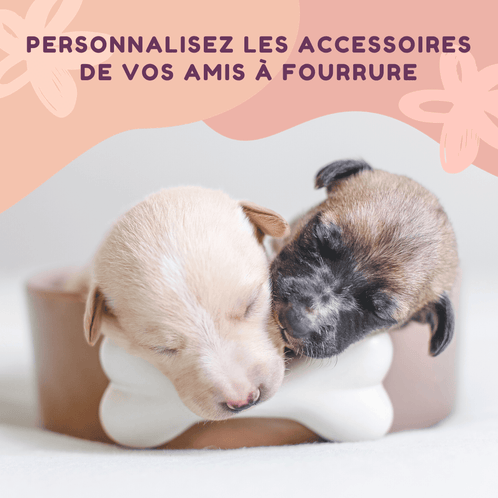 Personnalisez les accessoires de vos amis à fourrure.