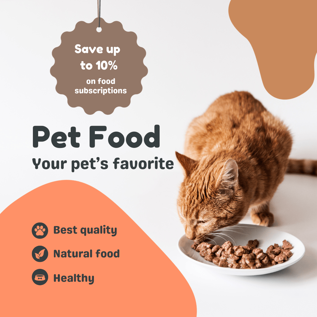 Shameless Pets – Furry Garden Co