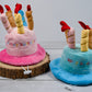 Small and medium-sized pet Happy Birthday plush hat.