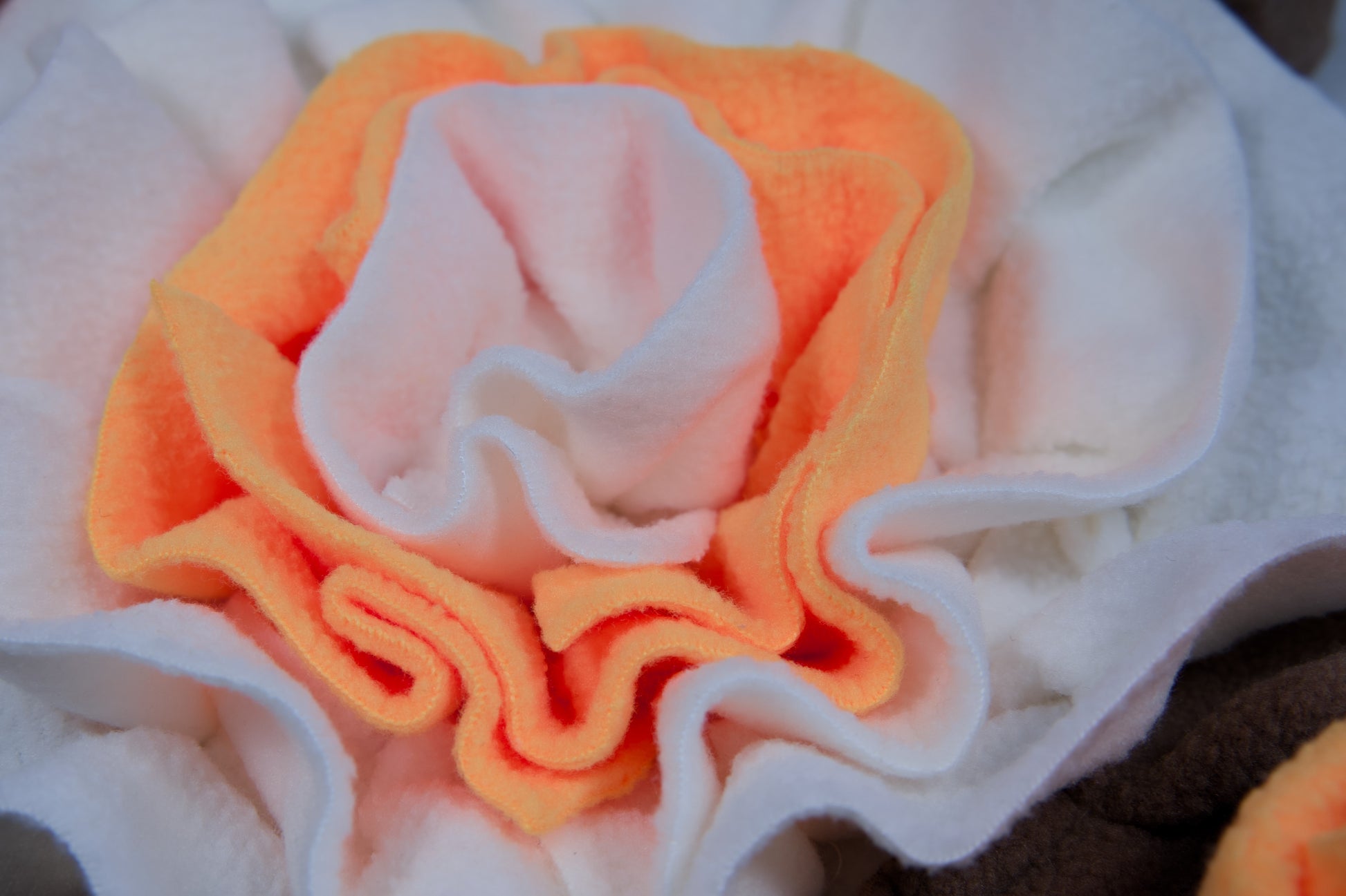 Enlarged view of the flower from the center of the sniffing mat.|Vue agrandie de la fleur du centre du tapis à renifler.