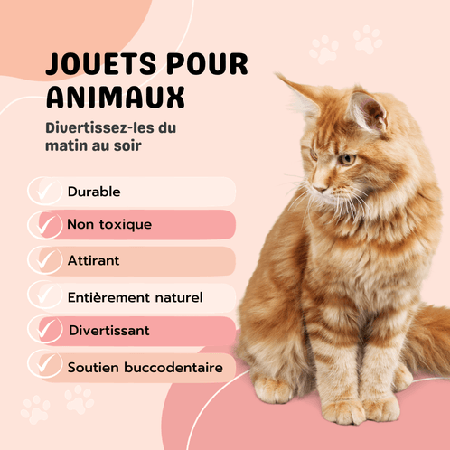 Jouets pour animaux. Divertissez-les du matin au soir: durable, non toxique, attirant, entièrement naturel, divertissant, soutien buccodentaire.