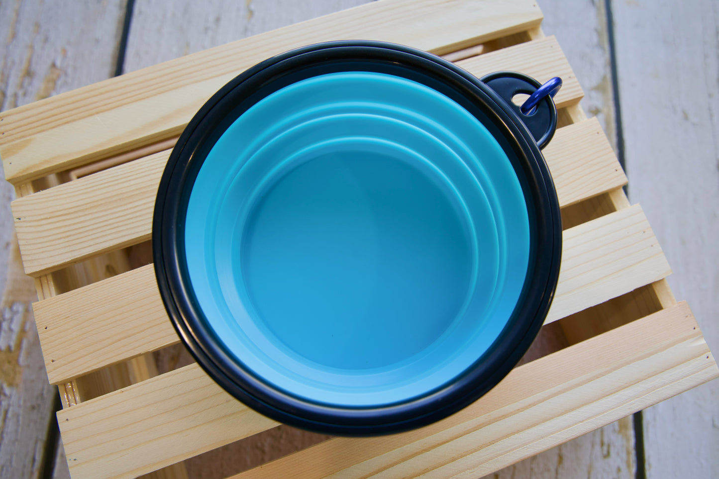Gamelle pour chien pliable bleue sur un tabouret en bois.