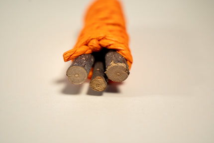 Close-up view of the 3 curled apple tree branches.