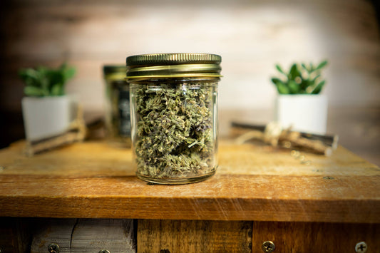 Jar of dried catnip flowers on a wooden surface with plants in the background.|Un pot de fleurs de cataire séchées posé sur une surface en bois, avec des plantes en arrière-plan.