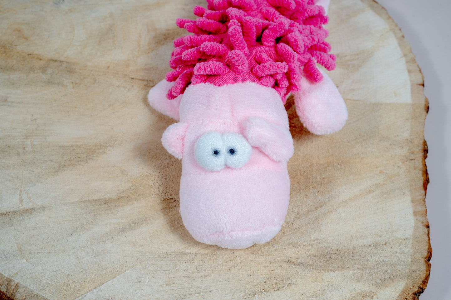 Front view of the squeaky soft plush for dogs.