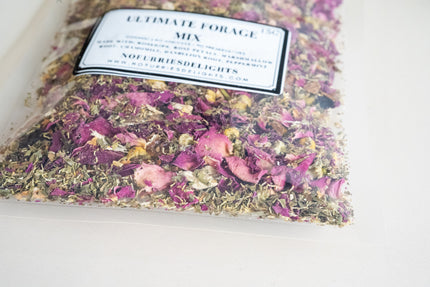 Image rapprochée du mélange de fleurs mixte Ultimate.