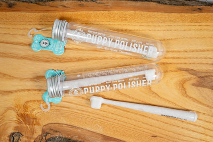 Brosse à dents pour petit chien dans son contenant posé sur une planche de bois.