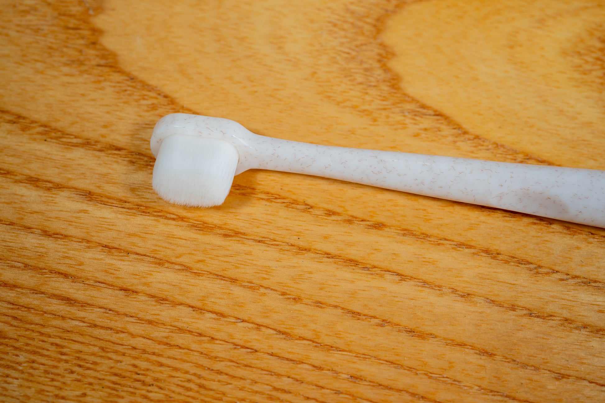 Close-up view of toothbrush bristles for small dogs. | Vue rapprochée des poils de brosse à dents pour petits chiens.