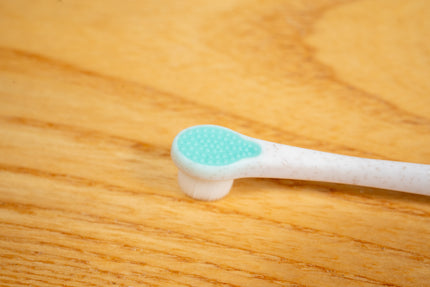 Vue rapprochée du gratte-langue derrière la tête de brosse à dents pour les très petits chiens.