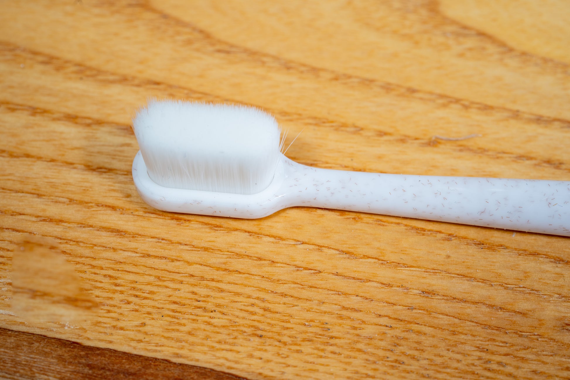 Close-up view of toothbrush bristles for medium to large dogs. | Vue rapprochée des poils de brosse à dents pour chiens de taille moyenne à grande.
