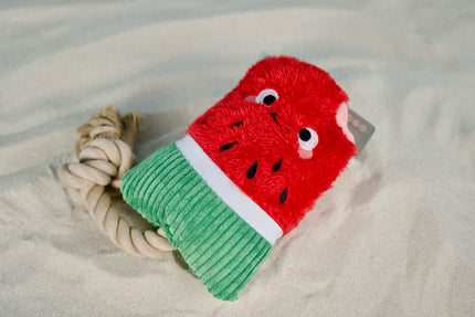 Watermelon dog toy with rope handle lying on a sunny sandbank.