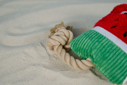 Plush squeaky watermelon toy for dogs, placed on beach sand for a summer vibe.