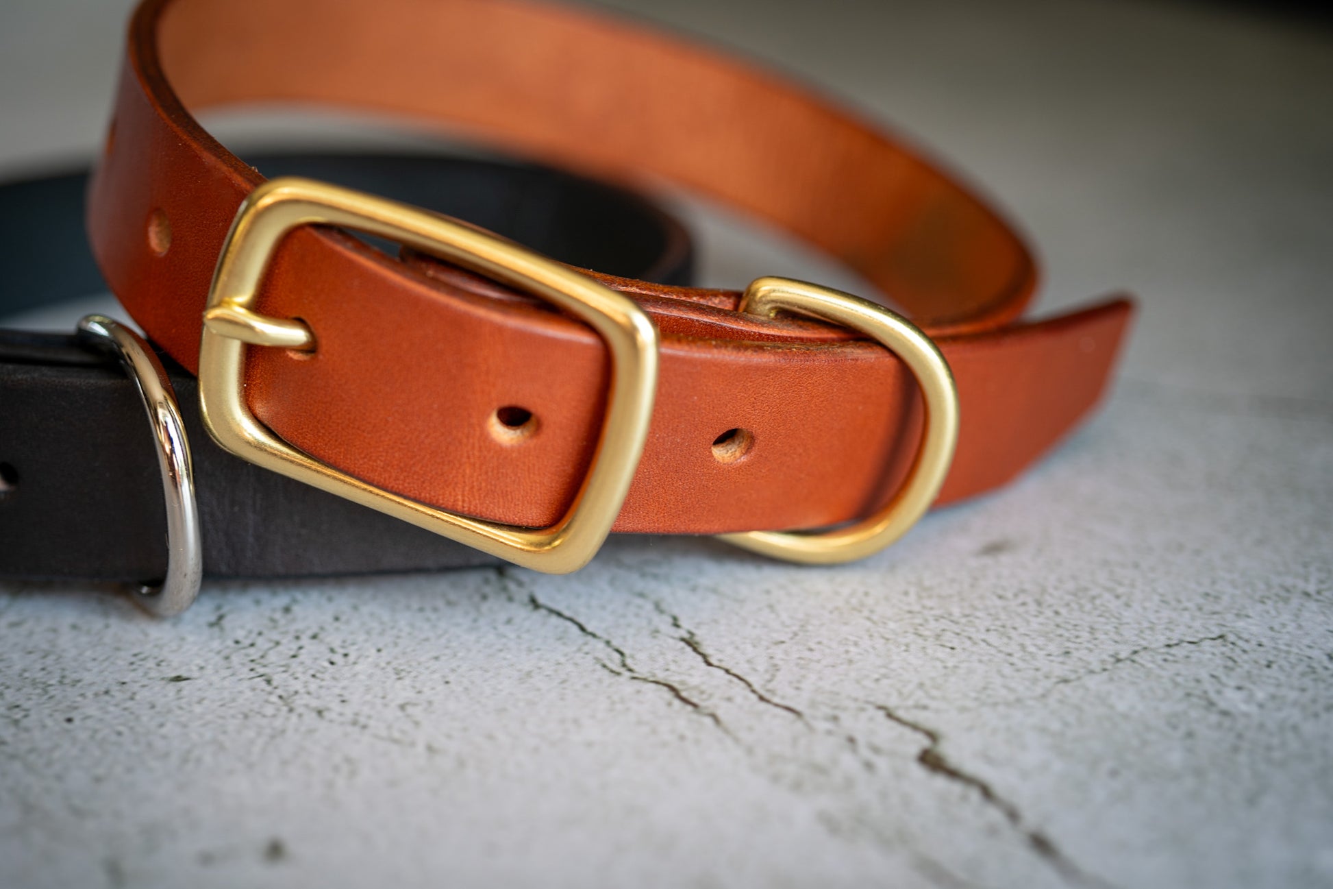 Close-up view of the natural brass buckle of the brown leather dog collar 1 inch. | Vue rapprochée de la boucle en laiton du collier pour chien en cuir marron 1 pouce.