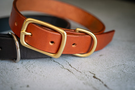 Close-up view of the natural brass buckle of the brown leather dog collar 1 inch.