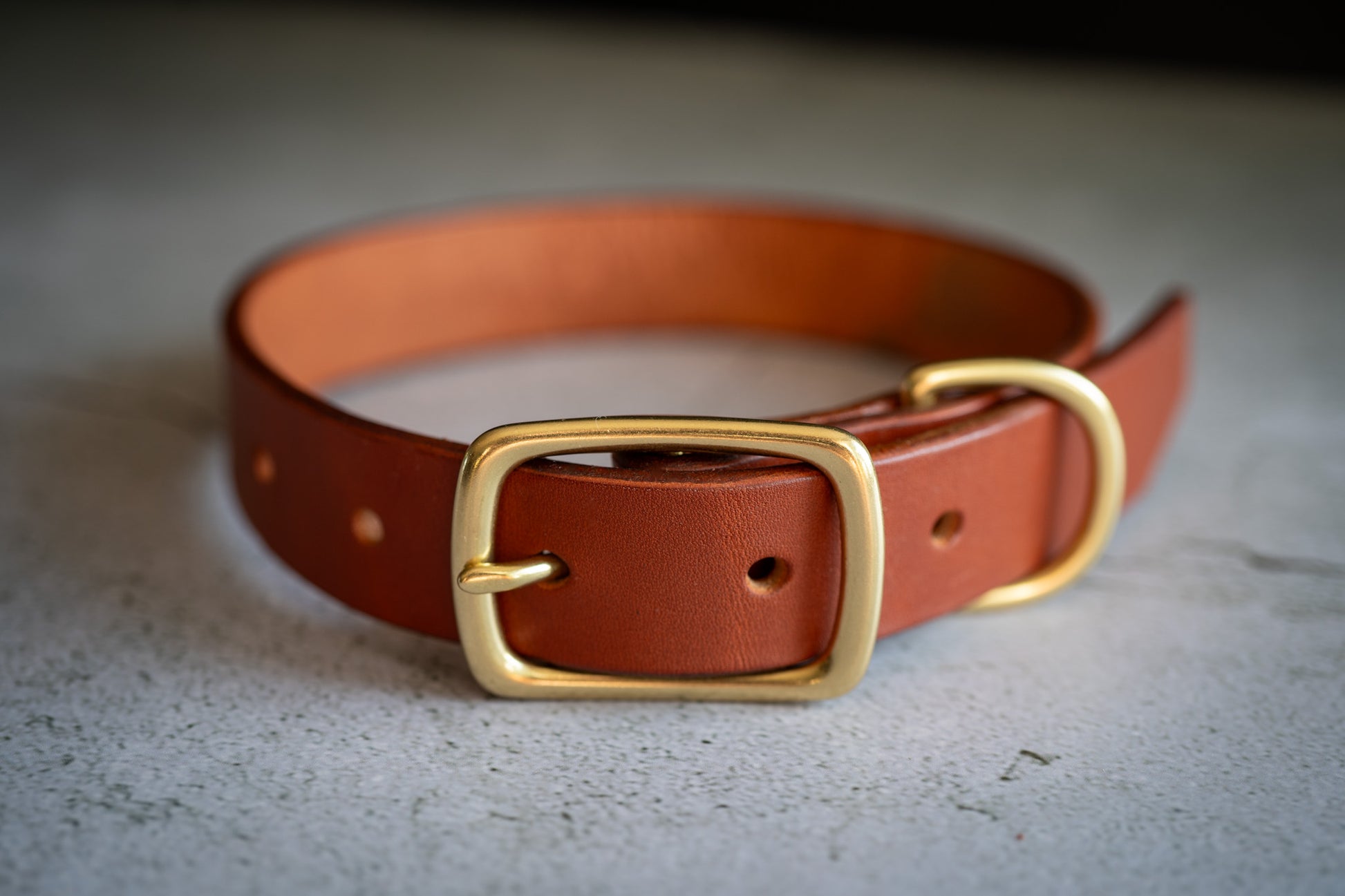 Brown premium leather dog collar 1 inch with natural brass buckle. | Collier pour chien en cuir premium marron 1 pouce avec boucle en laiton.
