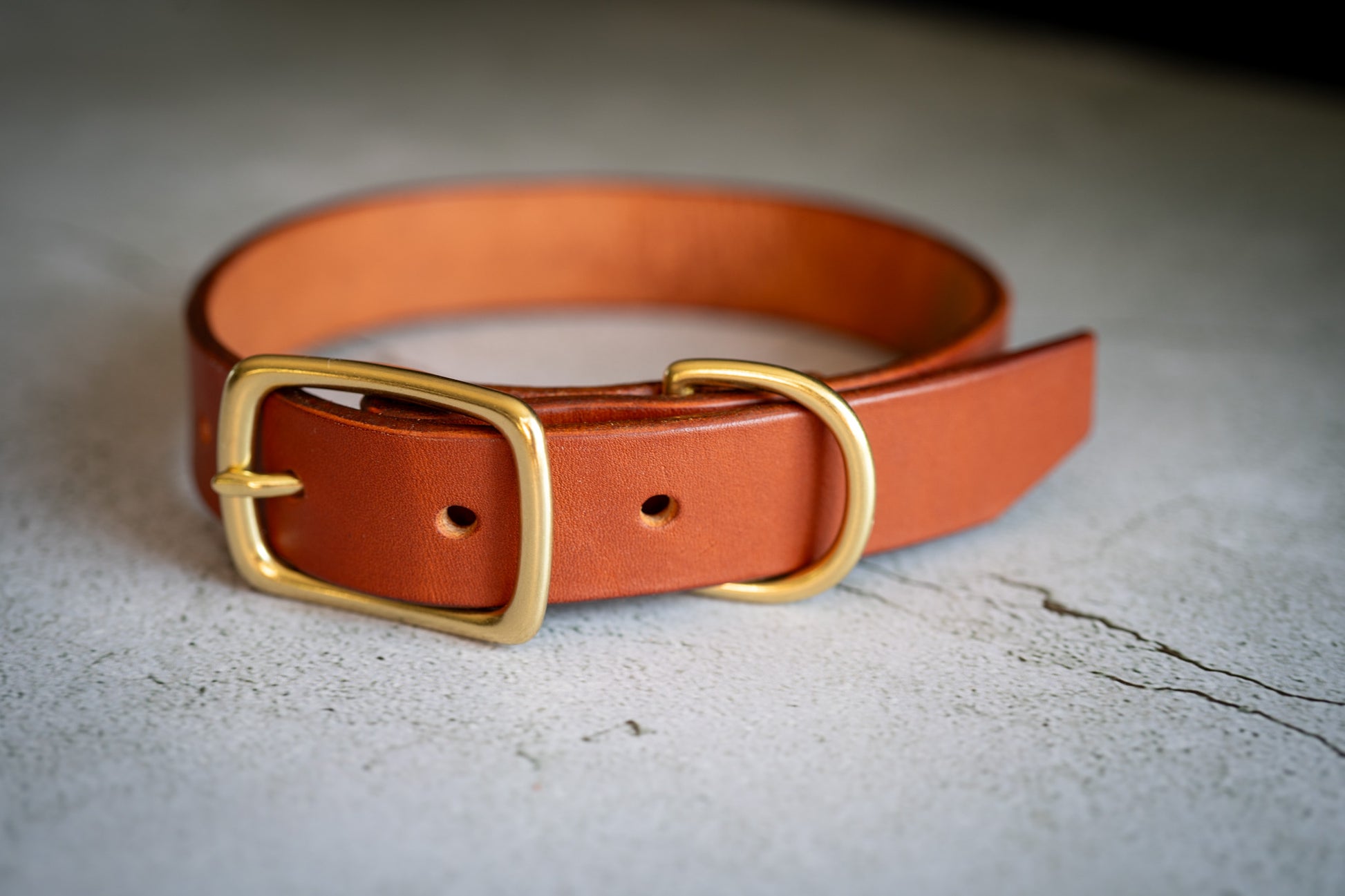 Side view of the tan leather dog collar 1 inch. | Vue latérale du collier pour chien en cuir brun 1 pouce.