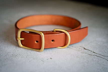 Side view of the tan leather dog collar 1 inch.